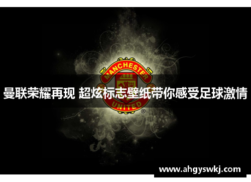 曼联荣耀再现 超炫标志壁纸带你感受足球激情