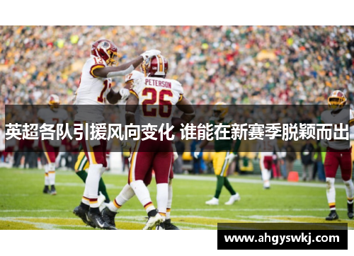 英超各队引援风向变化 谁能在新赛季脱颖而出