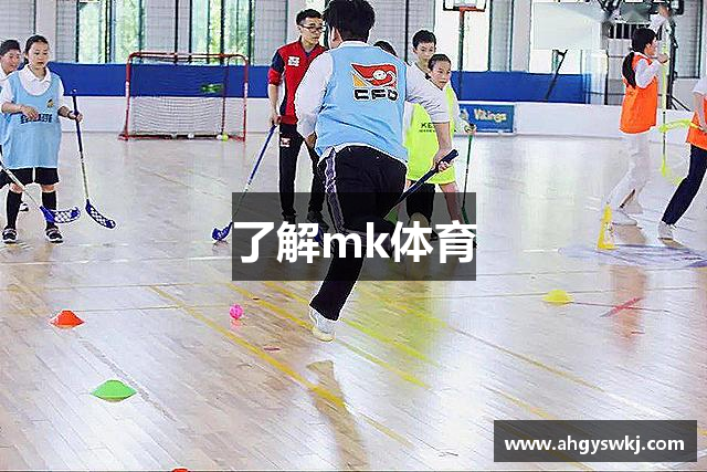 了解mk体育